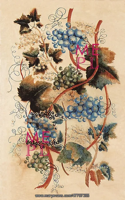  : Grapevine
