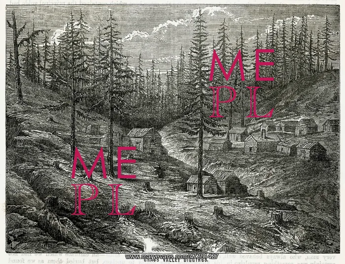  : GRASS VALLEY DIGGINGS