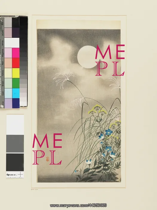 : Grasses, blue flowers and moon : Grasses, blue flowers and moon