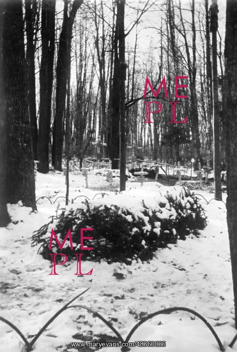 : The grave of Leo Count Tolstoy, 1941 : The grave of Leo Count Tolstoy, 1941