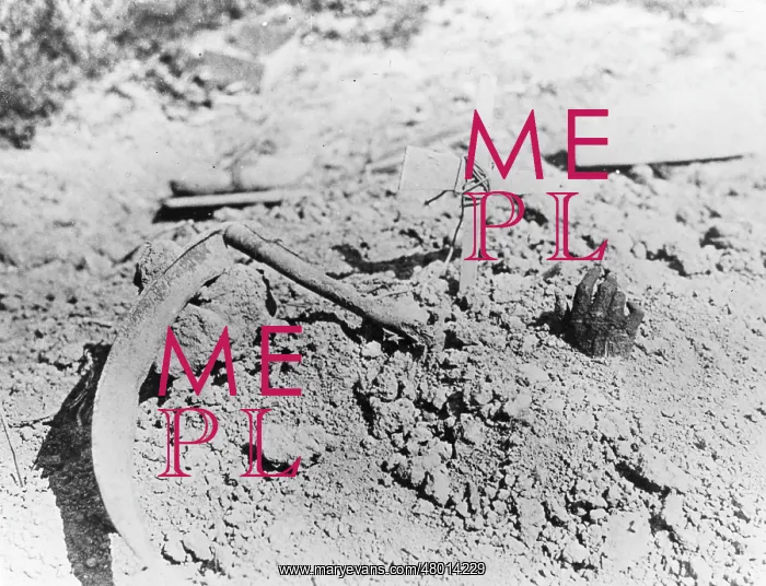 : Grave in a shell hole, Belgium, WW1 : Grave in a shell hole, Belgium, WW1