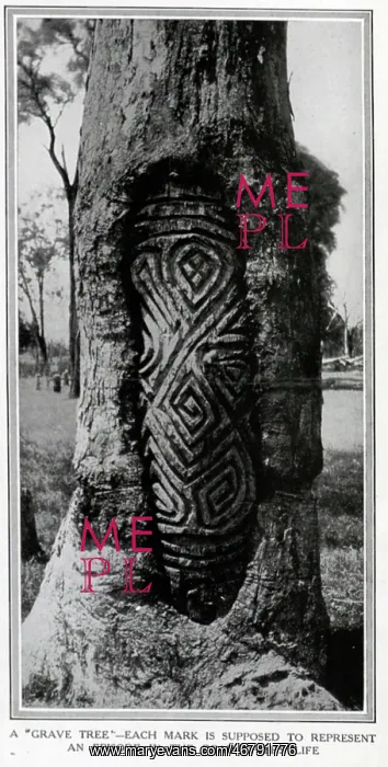 : A grave tree carving : A grave tree carving