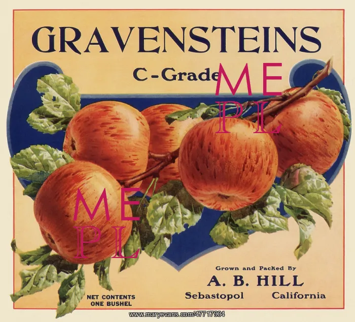  : Gravenstein Label