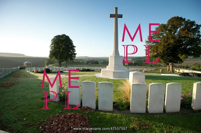 : Graves and Cross at Marfaux British cemetery : Graves and Cross at Marfaux British cemetery