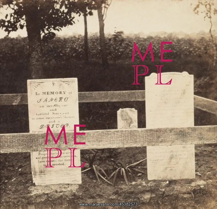 : Gravestone in the Plantation no. 8 portion : Gravestone in the Plantation no. 8 portion