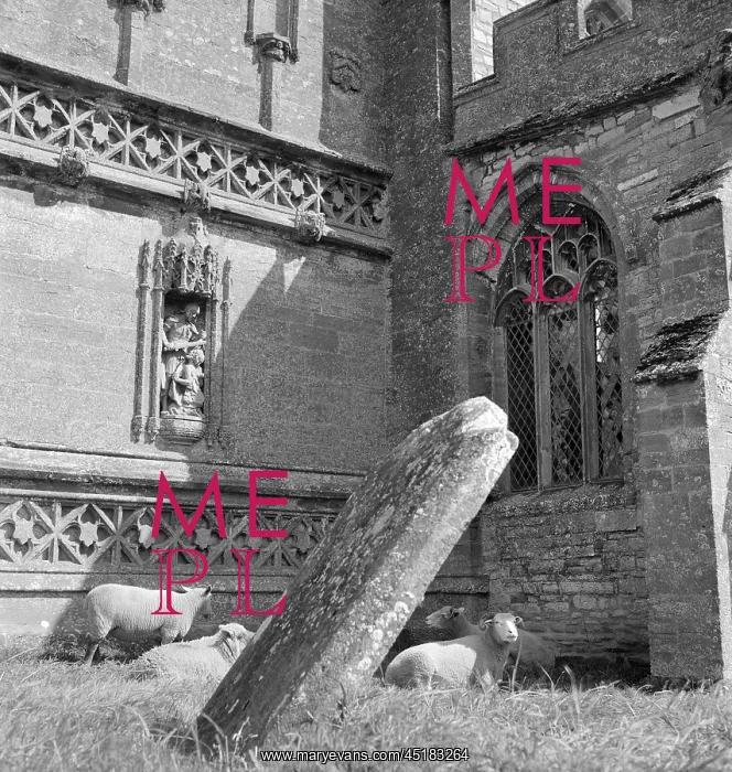 : Gravestones : Gravestones