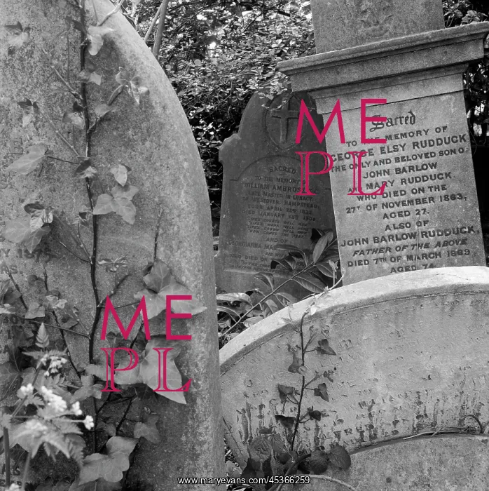 : Gravestones, Highgate Cemetery : Gravestones, Highgate Cemetery