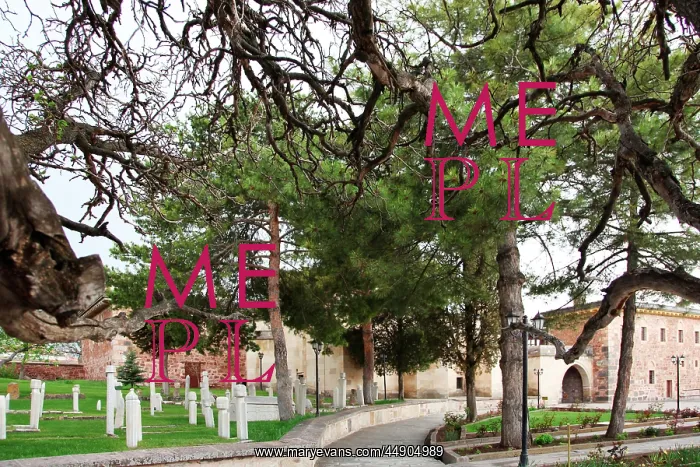 : The Graveyard next to Balim Sultan Tomb : The Graveyard next to Balim Sultan Tomb