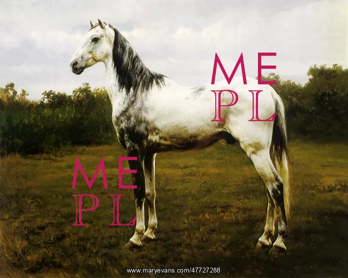 : Gray Tinted Horse