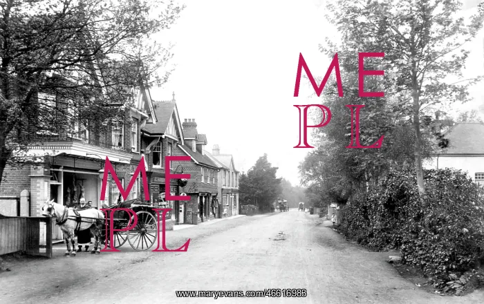  : Grayshott, Headley Road 1906