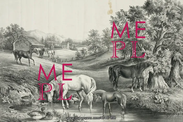  : The grazing farm