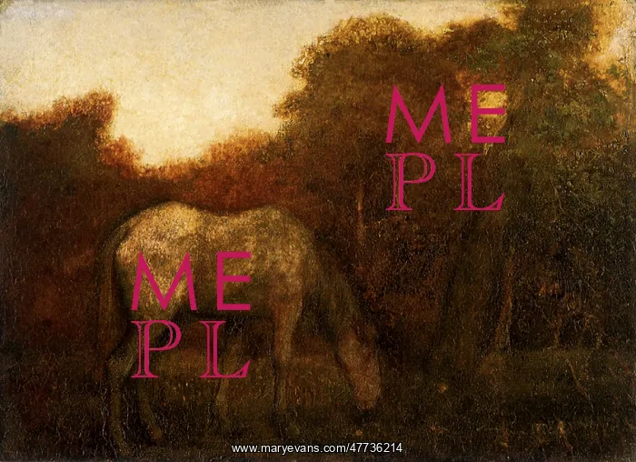  : The Grazing Horse