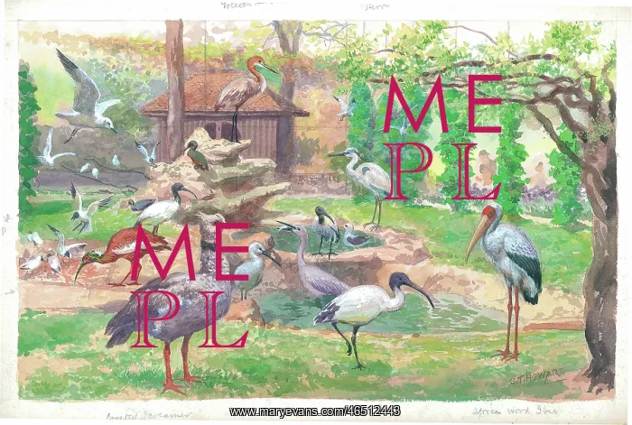 : The Great Aviary at London Zoo : The Great Aviary at London Zoo