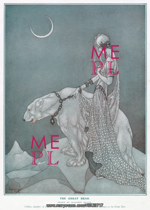 : The Great Bear by Marjorie Miller : The Great Bear by Marjorie Miller