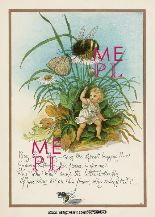 : GREAT BUZZING BEE BOYLE : GREAT BUZZING BEE BOYLE