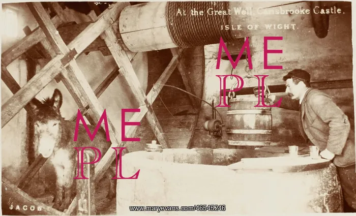 : Great Well - Carisbrooke Castle : Great Well - Carisbrooke Castle