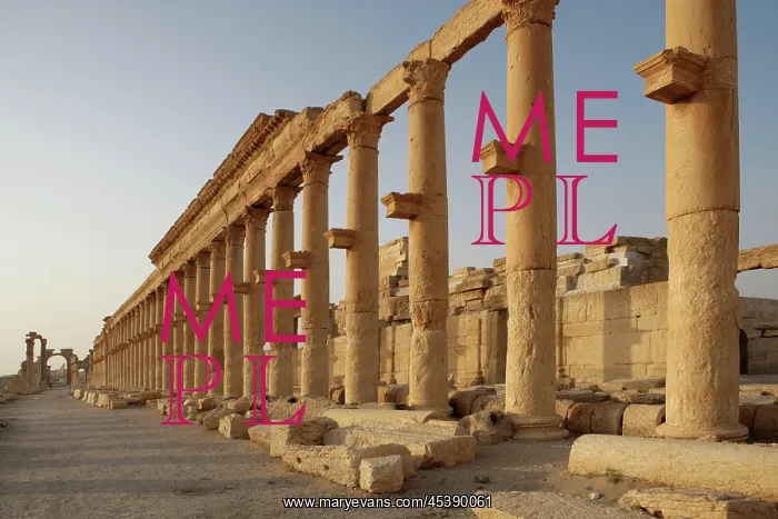 : Great Colonnade, Palmyra, Syria : Great Colonnade, Palmyra, Syria