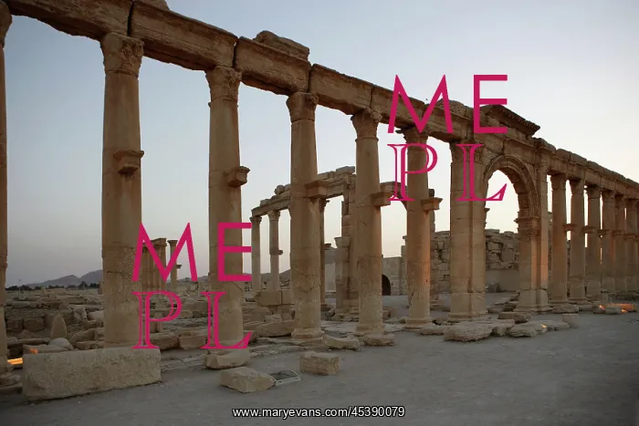 : Great Colonnade, Palmyra, Syria