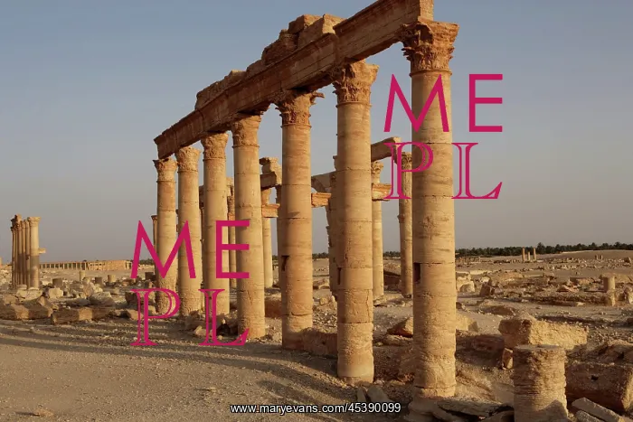 : Great Colonnade, Palmyra, Syria : Great Colonnade, Palmyra, Syria