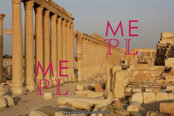  : Great Colonnade, Palmyra, Syria