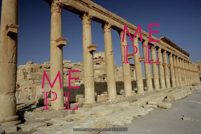 : Great Colonnade, Palmyra, Syria : Great Colonnade, Palmyra, Syria