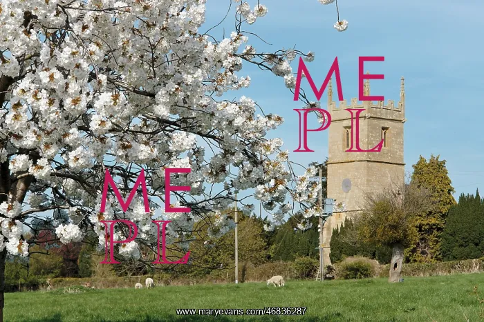  : Great Comberton, near Pershore, Worcestershire