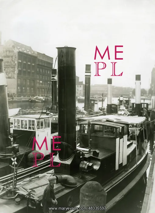 : Great Depression, 1929-1933 : Great Depression, 1929-1933