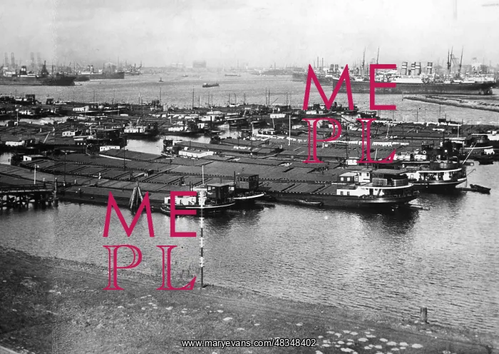 : Great Depression : Great Depression