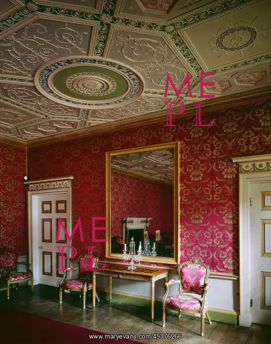 : Great Drawing Room, Audley : Great Drawing Room, Audley