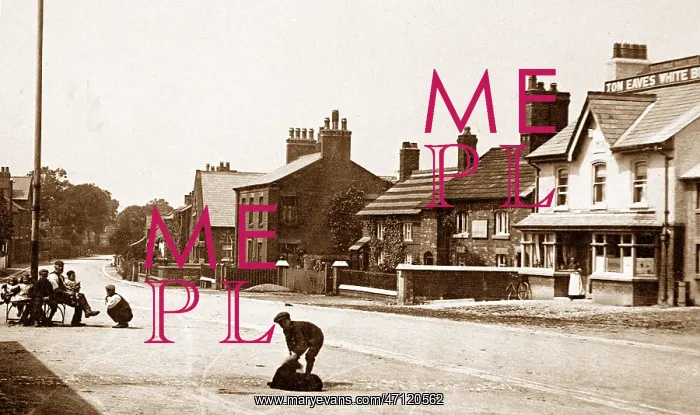  : Great Eccleston early 1900s