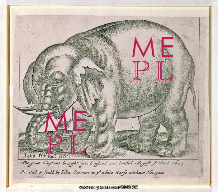 : The great elephant brought into england and landed August ye : The great elephant brought into england and landed August ye