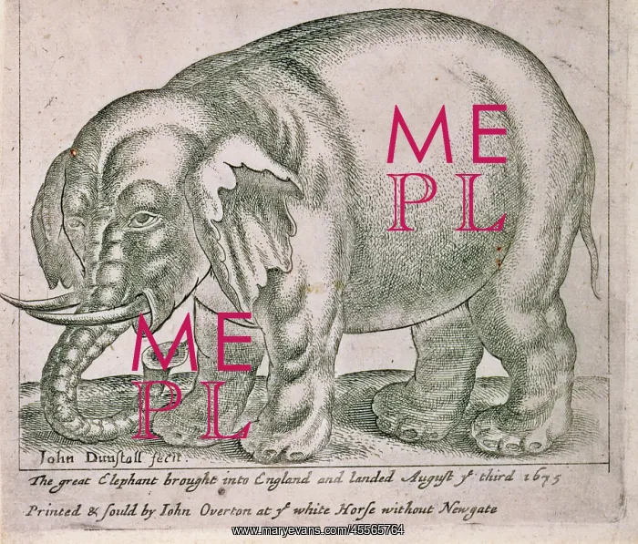 : The great elephant brought into england and landed August ye : The great elephant brought into england and landed August ye