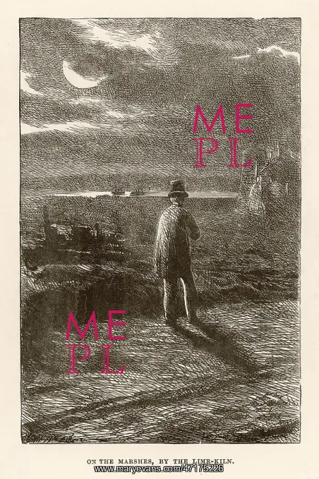 : GREAT EXPECTATIONS : GREAT EXPECTATIONS