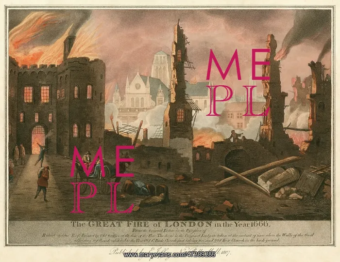 : The Great Fire of London : The Great Fire of London
