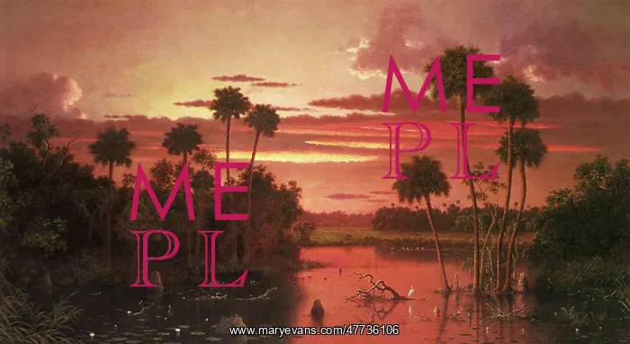  : The Great Florida Sunset