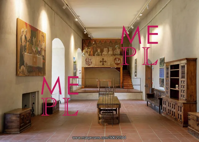 : Great Hall, Castle, Castelnou, Pyrenees-Orientales, France : Great Hall, Castle, Castelnou, Pyrenees-Orientales, France
