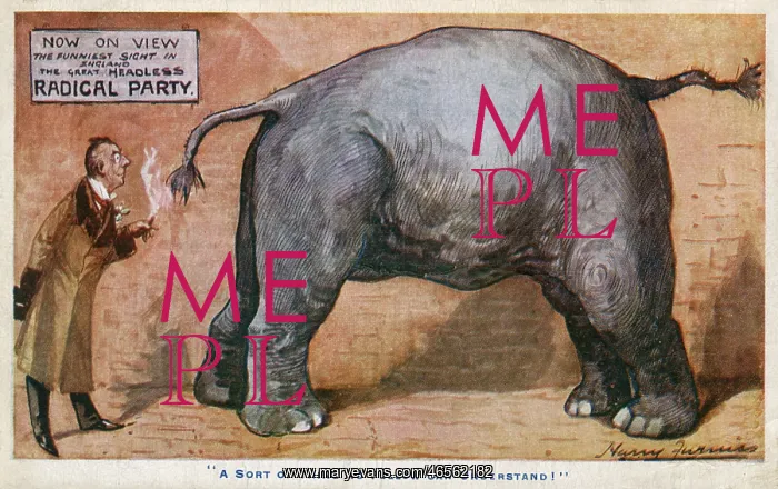 : The Great Headless Radical Party Elephant : The Great Headless Radical Party Elephant