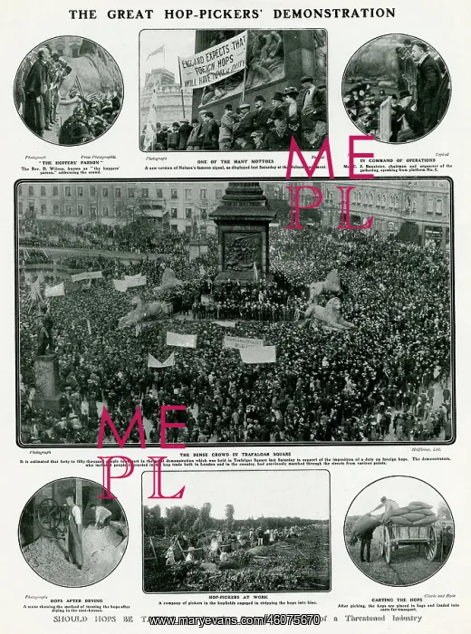 : Great hop-pickers demonstration 1908 : Great hop-pickers demonstration 1908