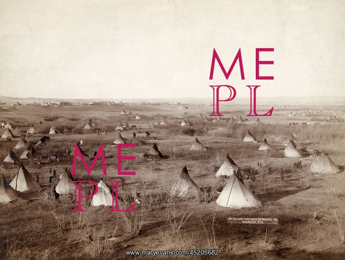 : The Great Hostile Camp. Bird's-eye view ? : The Great Hostile Camp. Bird's-eye view ?