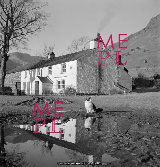 : Great Langdale, Cumbria : Great Langdale, Cumbria