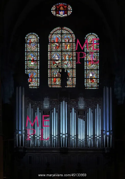 : Great Organ, Cathedral Saint-Samson, Dol-de-Bretagne : Great Organ, Cathedral Saint-Samson, Dol-de-Bretagne