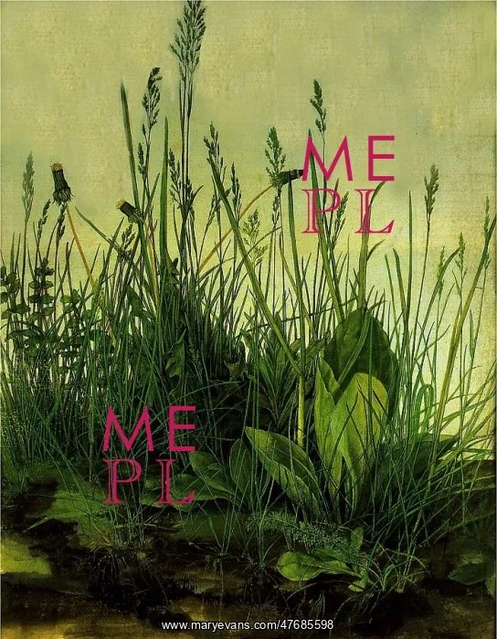 : The Great Piece of Turf, by Albrecht Durer : The Great Piece of Turf, by Albrecht Durer