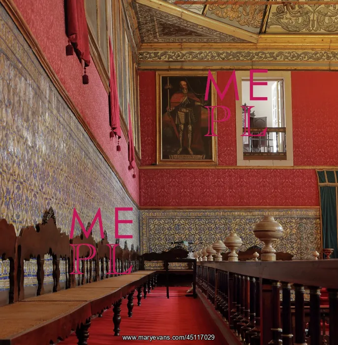: Great Room of Acts, University of Coimbra, Coimbra, Portugal : Great Room of Acts, University of Coimbra, Coimbra, Portugal