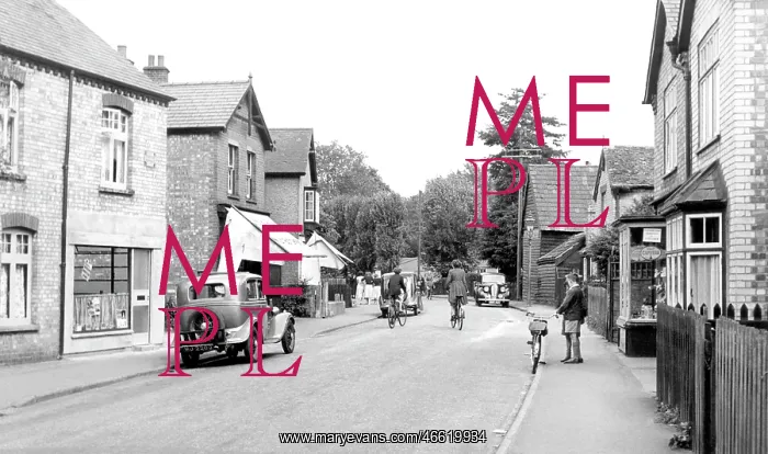  : Great Shelford, Woollards Lane c1955