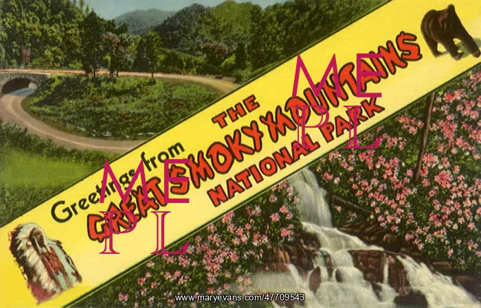  : Great Smoky Mountains