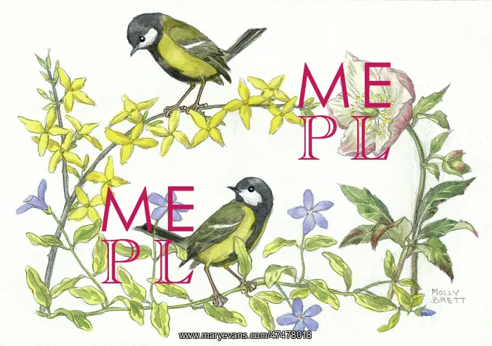 : Great tits, winter jasmine, periwinkle etc : Great tits, winter jasmine, periwinkle etc