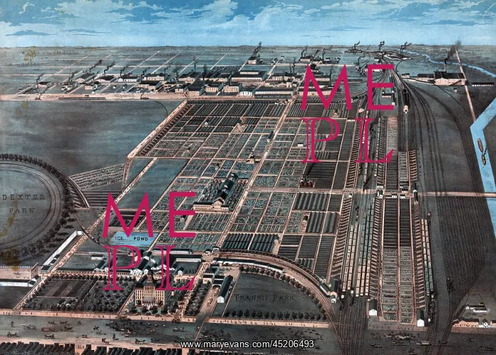 : The Great Union Stock Yards of Chicago. ? : The Great Union Stock Yards of Chicago. ?