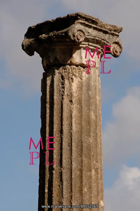 : Greek Art. Sanctuary of Olympia. Ionic column at the Palaest : Greek Art. Sanctuary of Olympia. Ionic column at the Palaest