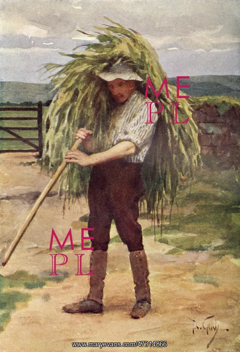  : GREEN FODDER