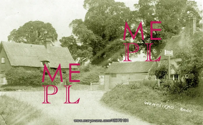  : The Green Gate Inn (Whempstead Road and Whempstead Lane)